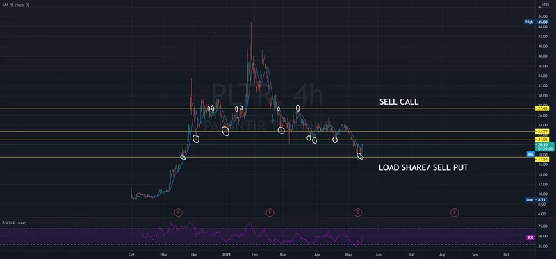 PLTR's Bearish Sentiment: What's Behind Burry's Puts?